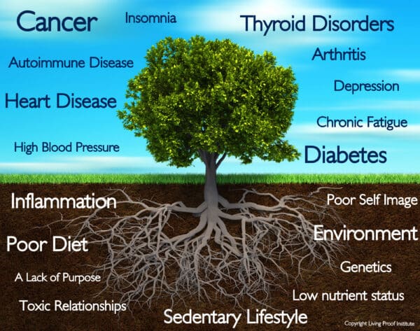 Functional-Tree-1-600×473